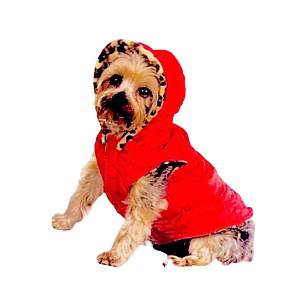ZACK & Zoey Red/Leopard reversible dog Puffer Vest